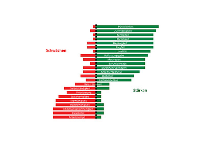 Stärken und Schwächen